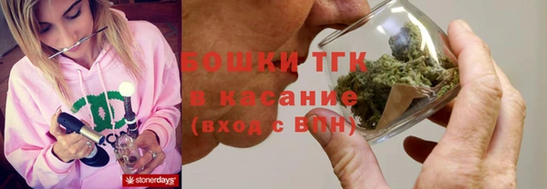 ПСИЛОЦИБИНОВЫЕ ГРИБЫ Магас