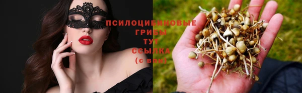 ПСИЛОЦИБИНОВЫЕ ГРИБЫ Магас
