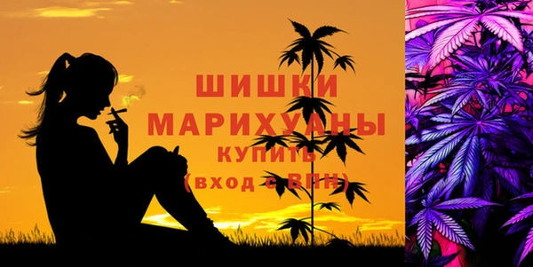 ПСИЛОЦИБИНОВЫЕ ГРИБЫ Магас